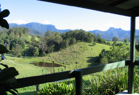 view from the poolside gazebo to Springbrook and the Cougal Mountains
