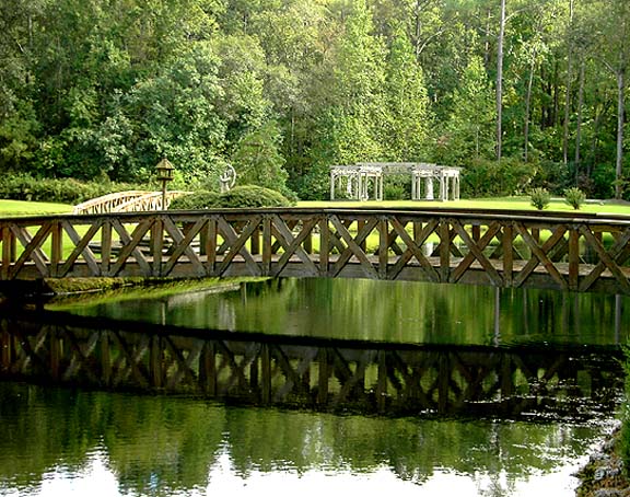 Bridges over the lake