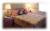 Quill Haven Country Inn Bed and Breakfast Bed Breakfast Somerset