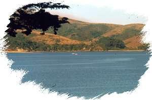 Inn on Tomales Bay Bed and Breakfast, Marshall, California