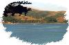 Inn on Tomales Bay Bed and Breakfast Bed Breakfast Marshall