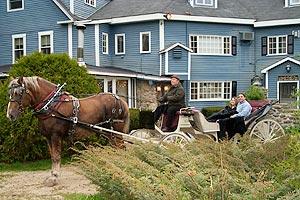 Schedule a romantic carriage/sleigh ride during your stay!