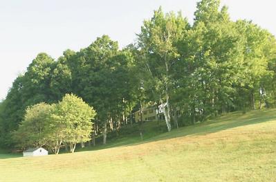 the meadow and woods of Meadowood Farm