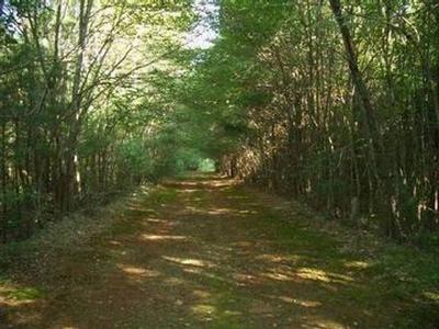 Wooded walking trail