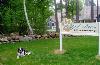The Inn at Restful Paws Pet Friendly Bed and Breakfast Holland/Sturbridge